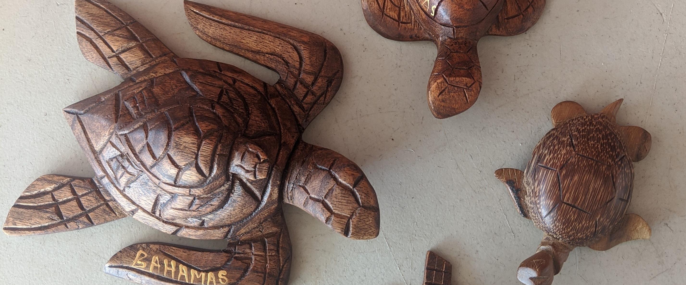 Wood Carved Turtle